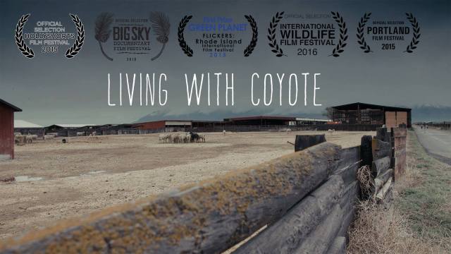 Living with Coyote